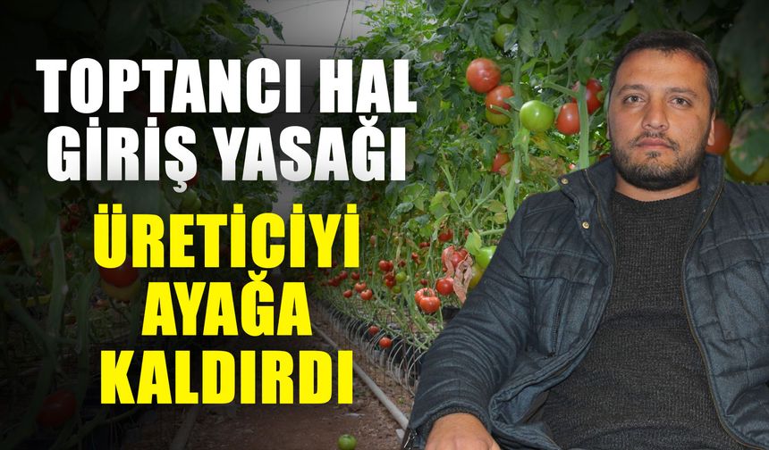 Çiftçi bırakıyor, seralar boş kalıyor! Üreticinin gelecek hayalleri tükendi