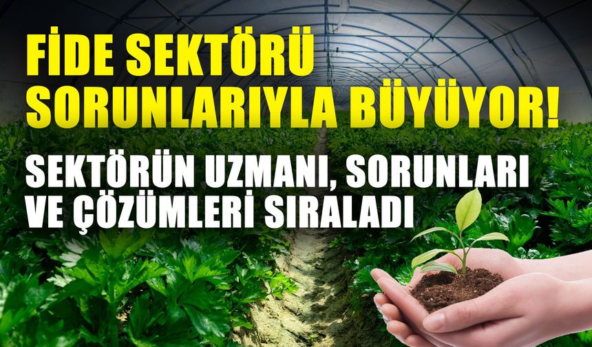 Fide sektörü sorunlarıyla büyüyor! Sektörün uzmanı, sorunları ve çözümleri sıraladı