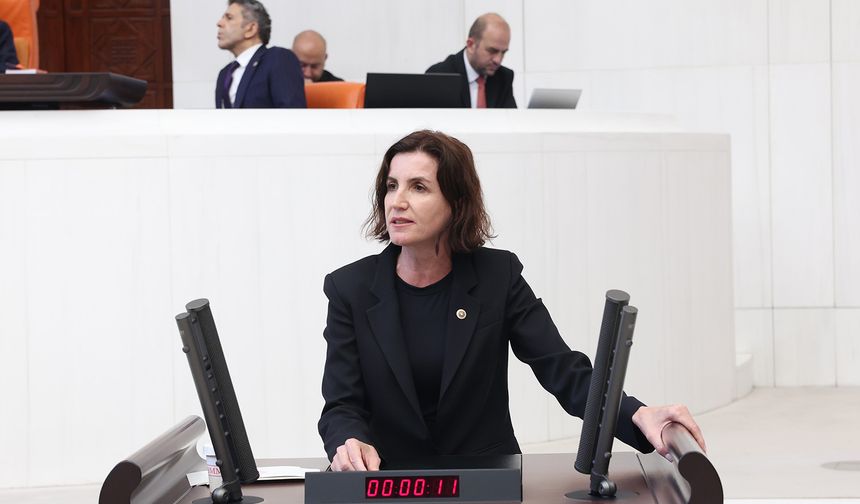 Aliye Coşar yapılmayan projeleri hatırlattı