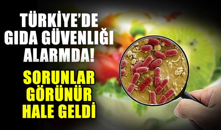 Türkiye’de gıda güvenliği alarmda! Sorunlar görünür hale geldi