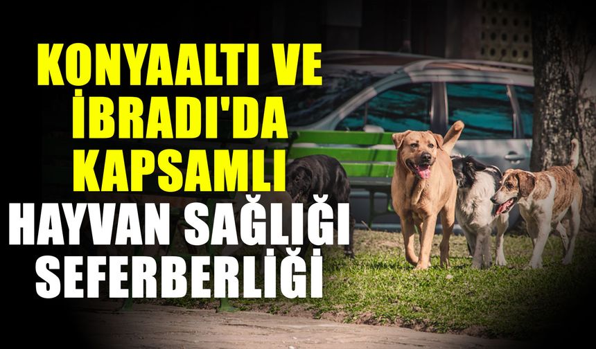 Konyaaltı ve İbradı'da kapsamlı hayvan sağlığı seferberliği