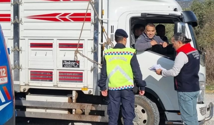 Hayvan sevkiyatına detaylı denetim