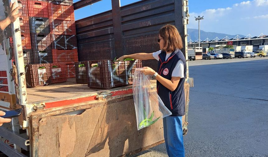 Antalya'nın iki ilçesi inceleme altında