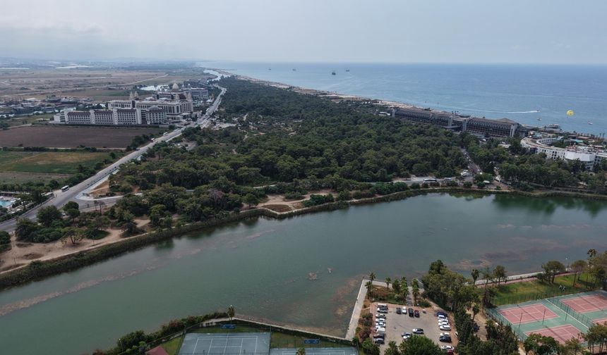 Antalya'da endemik türlere ev sahipliği yapan ormanlık alanlar tel çitle çevrilecek