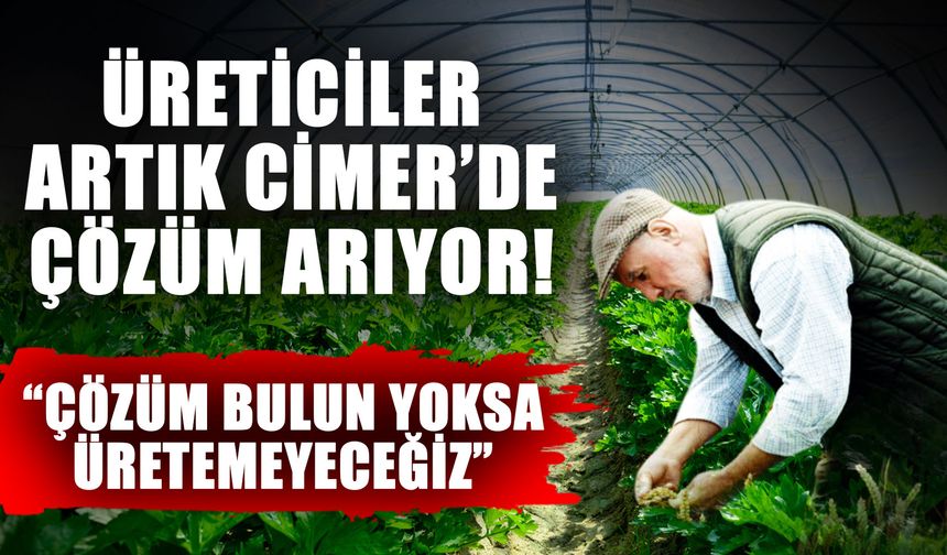 Üreticiler artık CİMER’de çözüm arıyor! “Çözüm bulun yoksa üretemeyeceğiz”