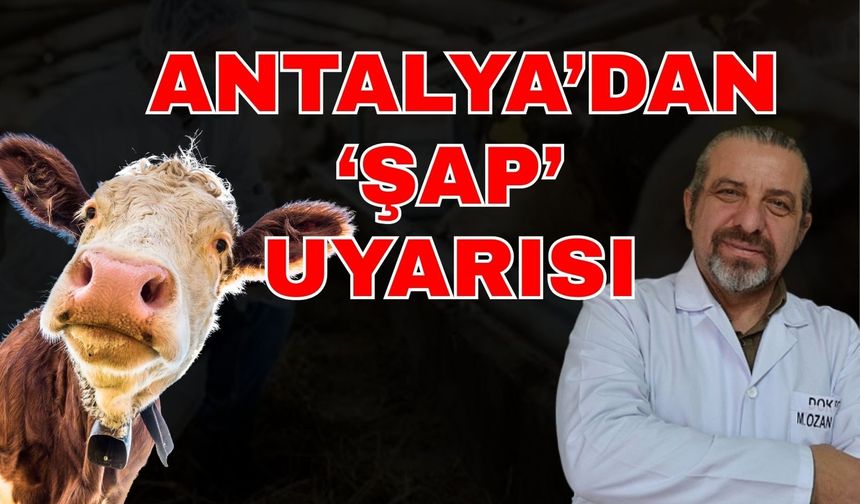 Antalya’dan ‘Şap’ uyarısı