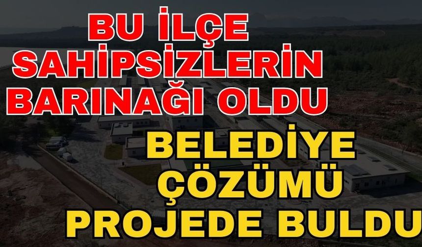 Antalya’da bu ilçe sahipsizlerin barınağı oldu belediye çözümü projede buldu
