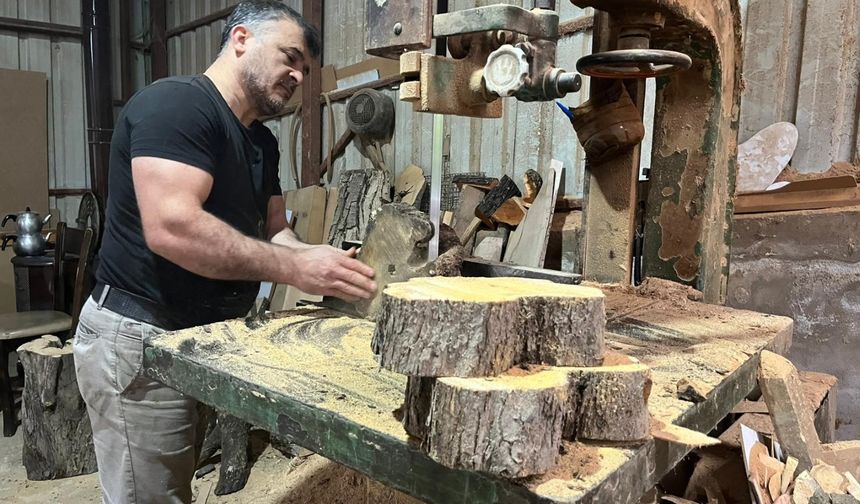 Antalya’da çürümüş ağaçlar esere dönüştü