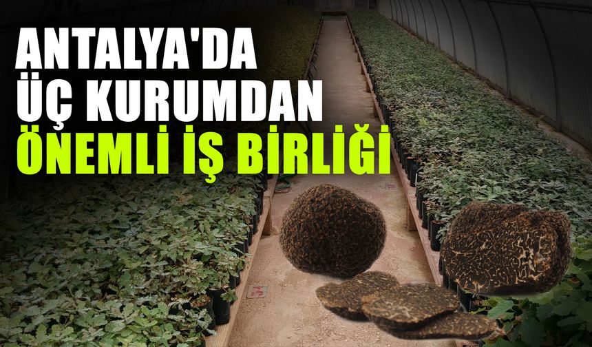 Antalya'da üç kurumdan önemli iş birliği