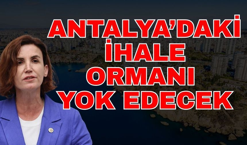 Antalya’daki ihale ormanı yok edecek