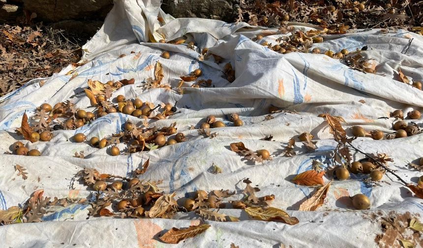 Antalya’nın hayırseverinden ücretsiz hizmet