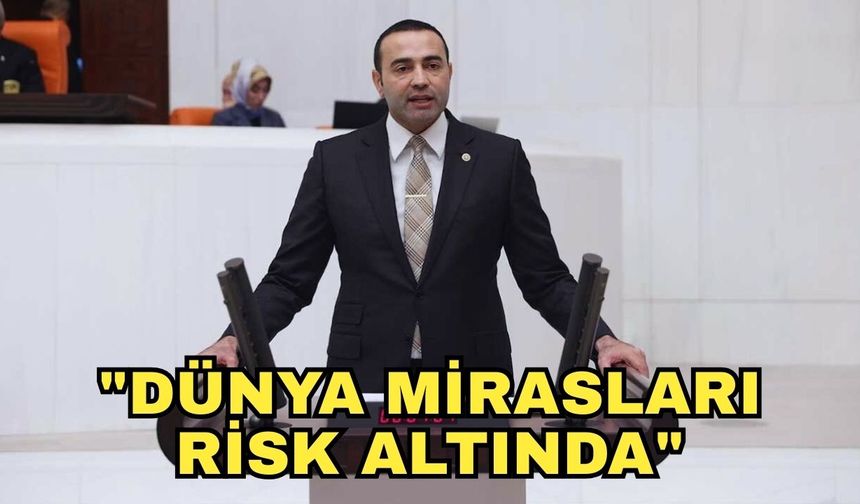Milletvekili Kaya'dan Tarım ve Orman Bakanlığı'na çağrı! "Dünya mirasları risk altında"