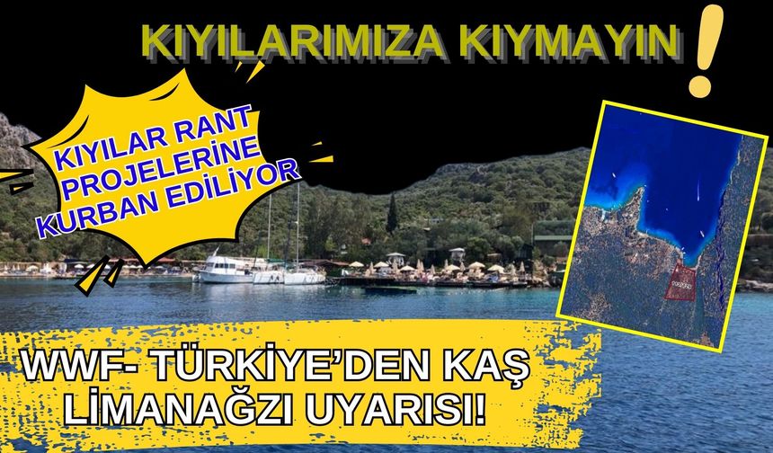 WWF-Türkiye’den Kaş Limanağzı uyarısı! Kıyılar rant projelerine kurban ediliyor