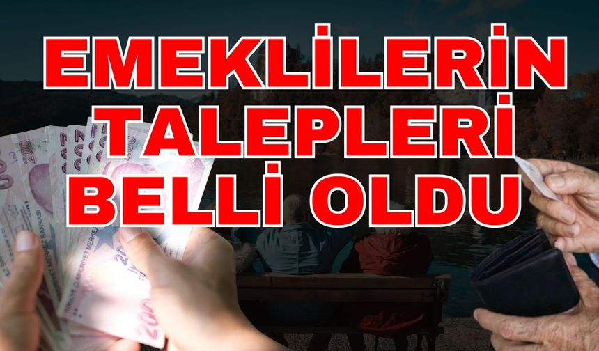 Emeklilerin talepleri belli oldu