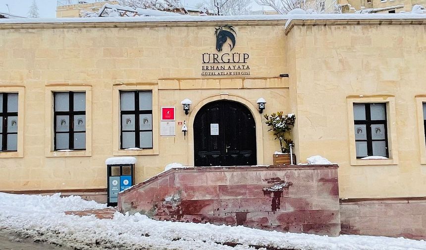 Türkiye'nin ilk at müzesi kapılarını açtı