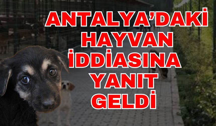 Antalya’daki hayvan iddiasına yanıt geldi
