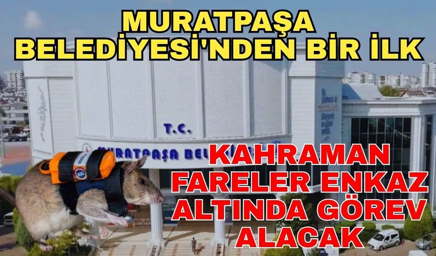 Muratpaşa Belediyesi'nden Türkiye’de bir ilk... Kahraman fareler enkaz altında görev alacak