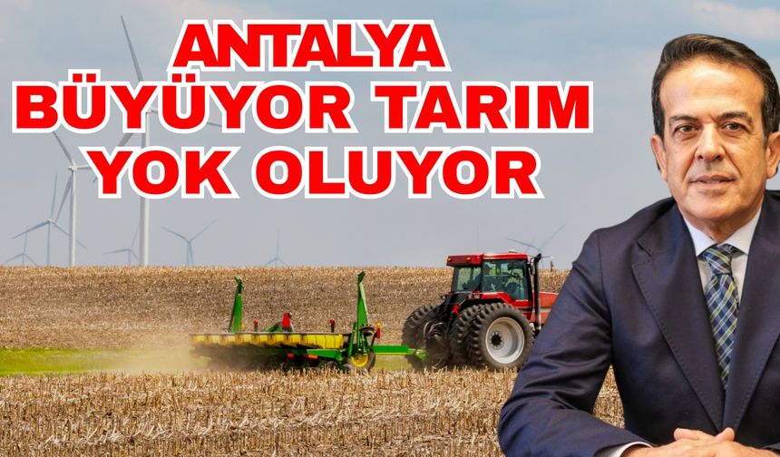 Antalya büyüyor tarım yok oluyor