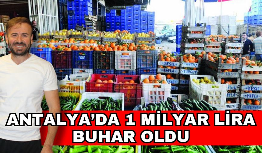 Antalya’da 1 milyar lira buhar oldu