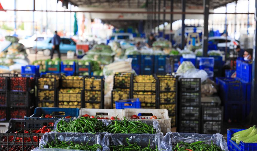 Antalya, Burdur ve Isparta’nın şampiyonu biber oldu