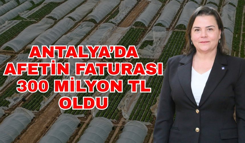 Antalya’da afetin faturası 300 milyon TL oldu