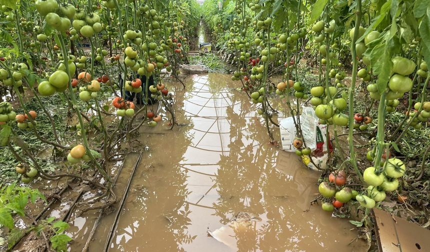 Antalya’daki üreticilerden devlet yetkililerine çağrı