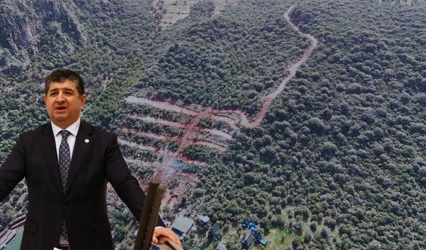 Milletvekili Arı, Eski bakanın arazisine yol iznini topa tuttu: "Görevi kötüye kullanmaktır"