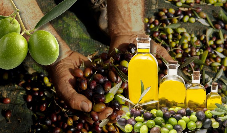 Antalya zeytin ve zeytinyağı zirvesine ev sahipliği yaptı