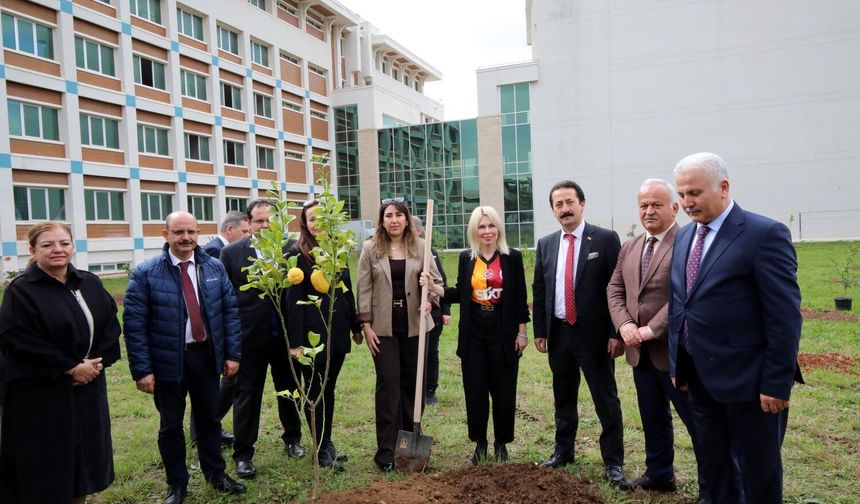 Rektör Özkan, İlahiyat Fakültesi’nde ağaç dikti, gazze sergisini gezdi