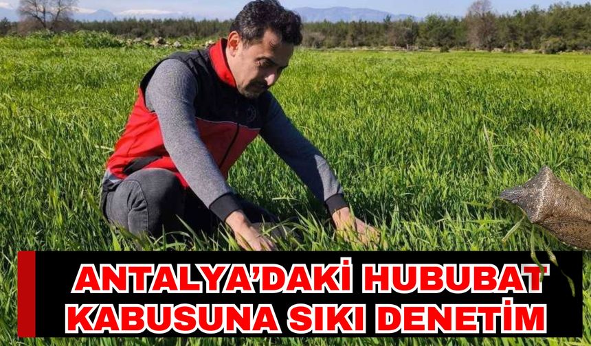 Antalya’daki hububat kabusuna sıkı denetim