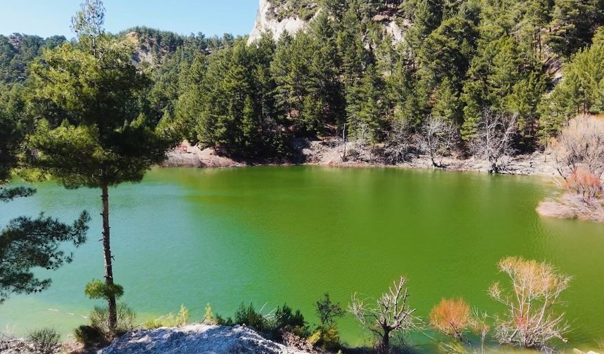 Kolak Gölü yeniden canlandı