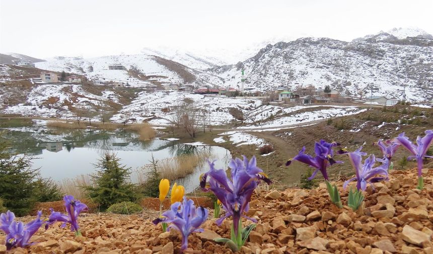 Antalya yaylalarında kartpostallık görüntü: çiçekler açtı