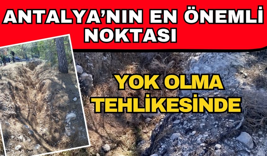Antalya’nın en önemli noktası yok oluyor! Tarihi alana, tarihi çağrı