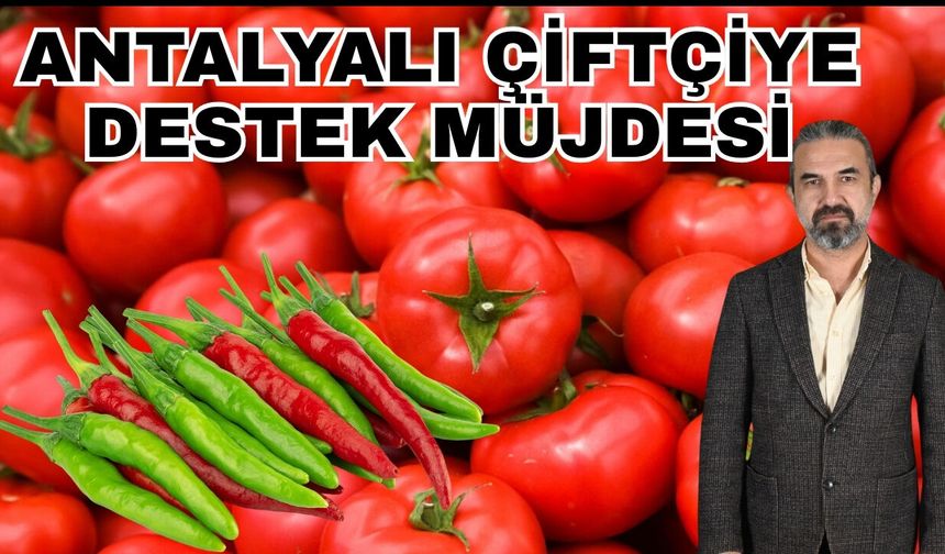 Antalyalı çiftçiye destek müjdesi… Zararlılarla biyoteknik mücadeleye devlet desteği geldi