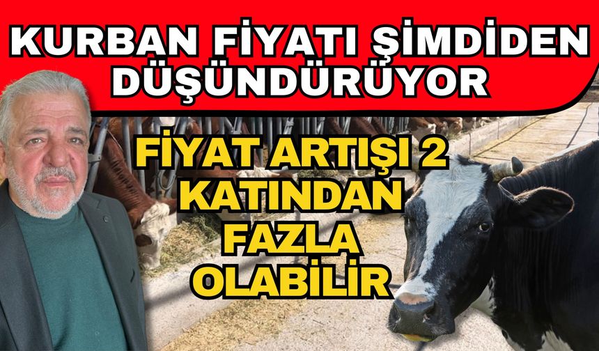 Kurban fiyatı şimdiden düşündürüyor! Fiyat artışı 2 katından fazla olabilir