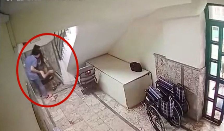 Mehmet'in gerçeğini kameralar gün yüzüne çıkardı