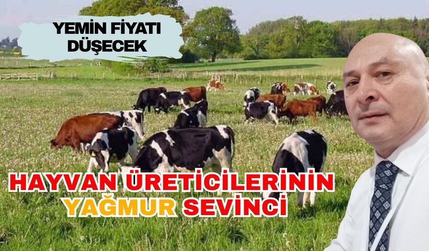 Antalyalı hayvan yetiştiricilerinin imdadına yağmur yetişti