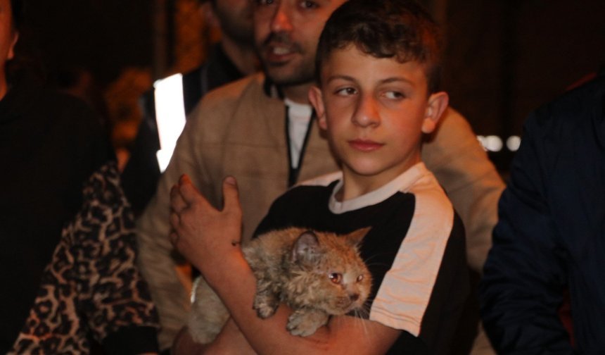 Yangınların arasında kalan kediyi itfaiyeye kurtardı