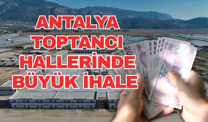 Antalya toptancı hallerinde büyük ihale