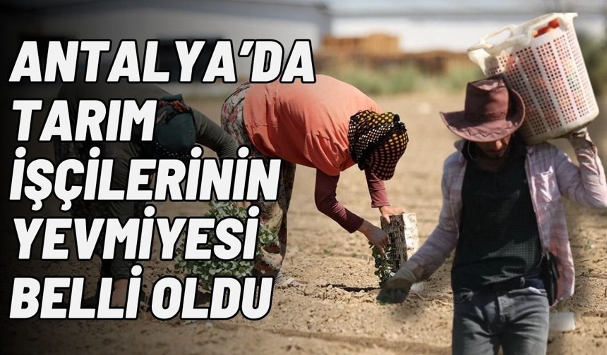 Antalya’da tarım işçilerinin yevmiyesi belli oldu