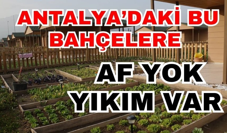 Antalya’daki bu bahçelere af yok yıkım var