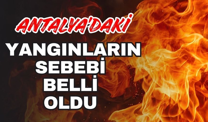 Antalya’daki yangınların sebebi belli oldu