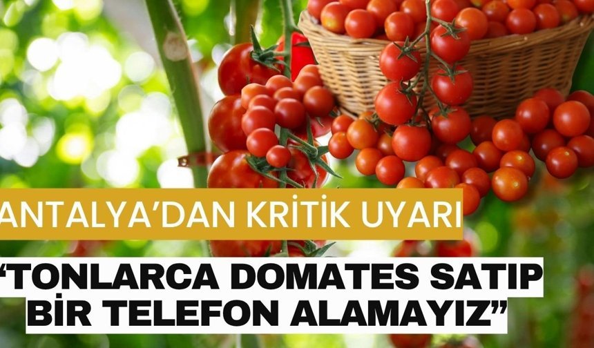 Antalya’dan kritik uyarı; “Tonlarca domates satıp bir telefon alamayız”