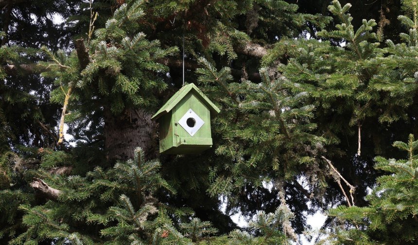 Bir yanda kar, bir yanda bahar