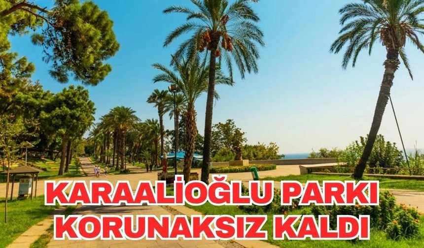 Karaalioğlu Parkı korunaksız kaldı