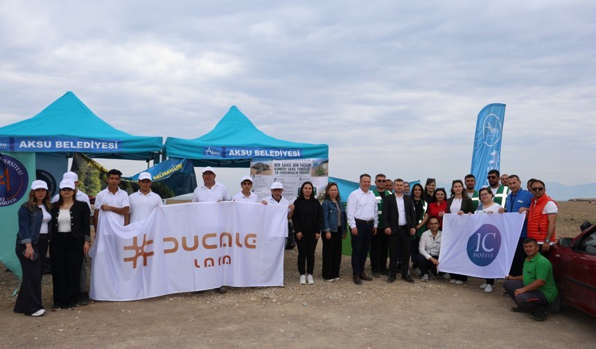 Kumköy Sahili Carettalar için temizlendi