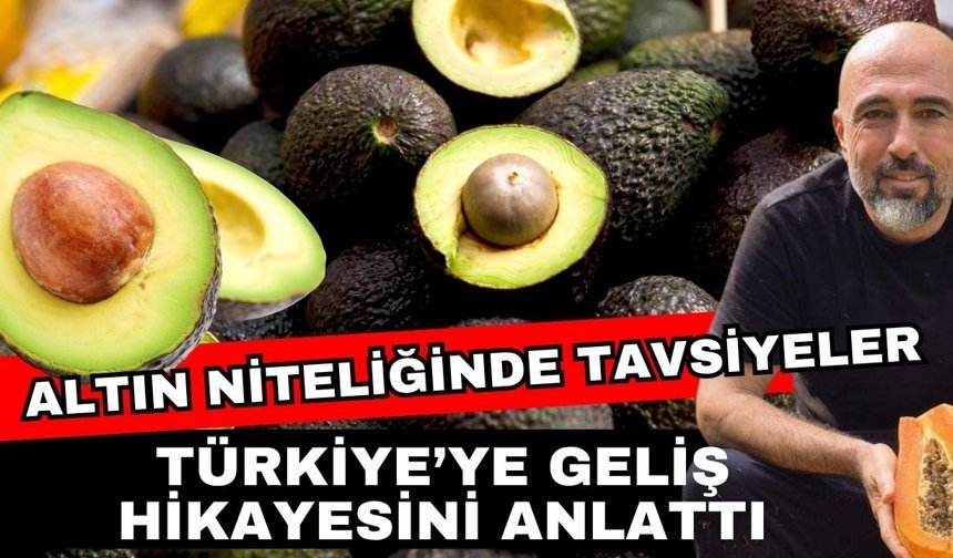 Uzmanından altın niteliğinde tavsiyeler! Avokado yetiştiriciliği ek iş olarak yapılamaz