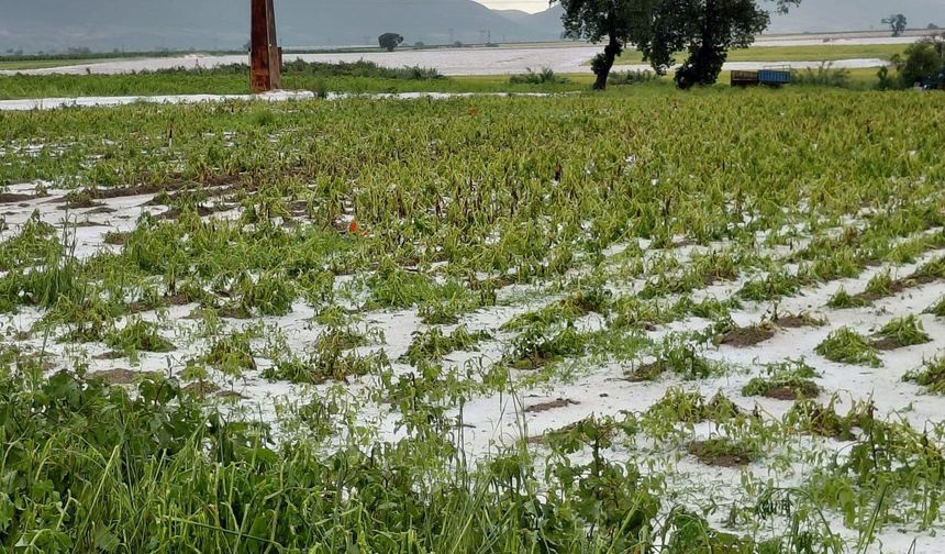 Adana'da dolu yağışı etkili oldu