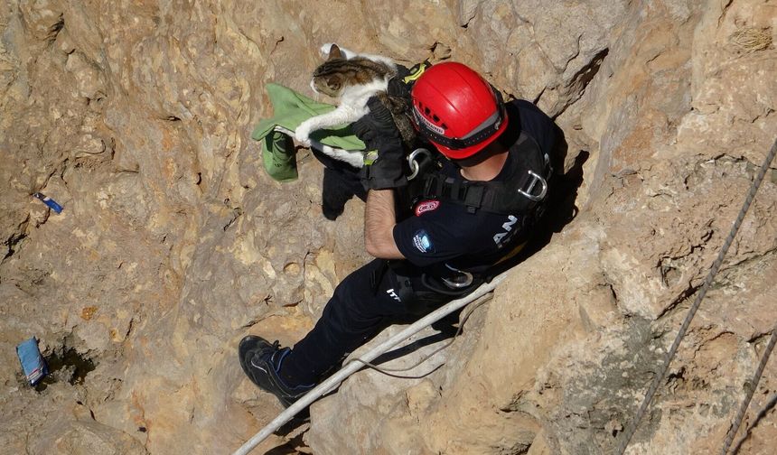 Antalya falezlerde nefes kesen kedi operasyonu