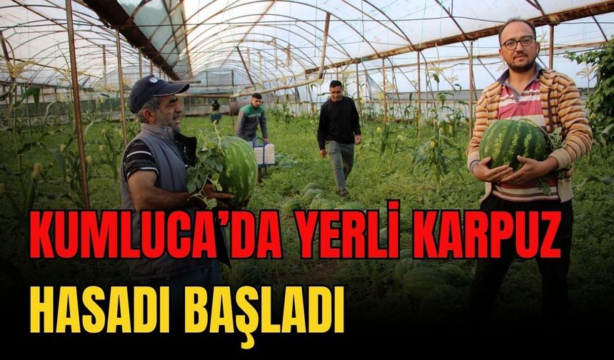 Antalya Kumluca’da yerli karpuz hasadı başladı